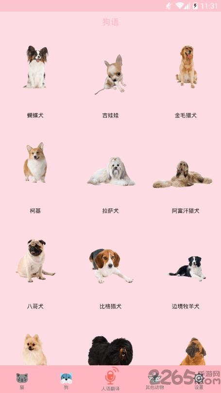 喵喵转换软件下载,喵喵转换,娱乐app,猫咪app