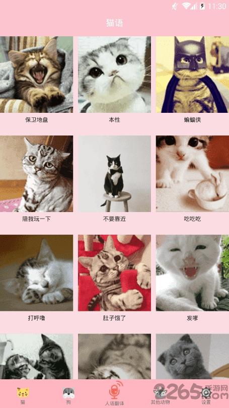喵喵转换软件下载,喵喵转换,娱乐app,猫咪app