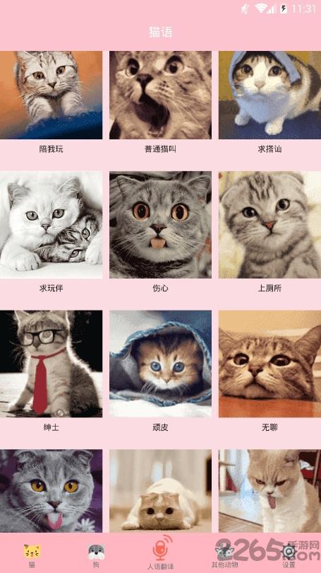 喵喵转换软件下载,喵喵转换,娱乐app,猫咪app